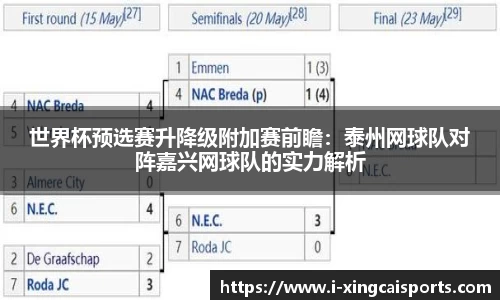 世界杯预选赛升降级附加赛前瞻：泰州网球队对阵嘉兴网球队的实力解析